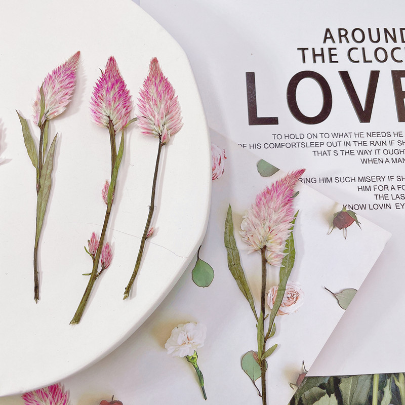 微信图片_20220919153855