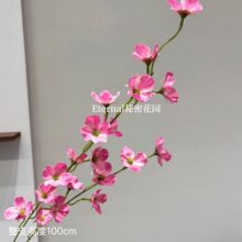 ?õ�tϵ���Ĵ��� ���Tɫ�鷿���û�Y�ҾӬ�����Y�üٻ���