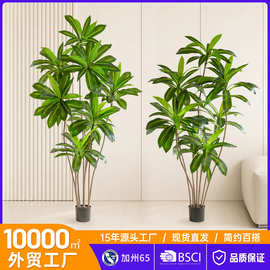 大型落地仿真绿植高级感巴西木盆栽家居室内装饰仿真树龙血树植物