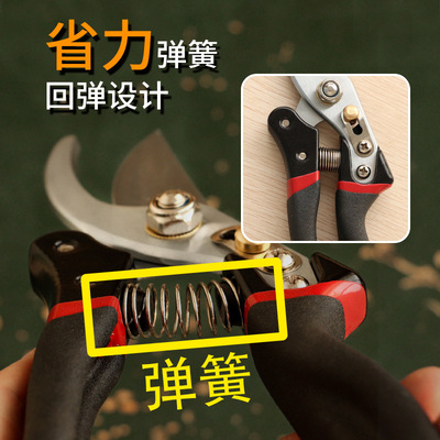 gardening scissors Spring V10