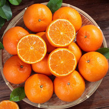 ���r�ָ̮���ˮ���V�����Q���ӷǰҰҸ̳��ِ�������