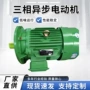 卧式定制异步三相电动机