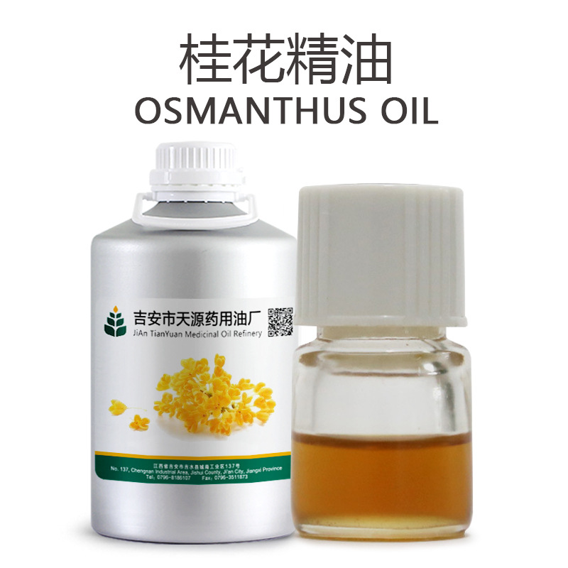 桂花精油 萃取芳香桂花油  天源厂家直供欢迎采购  可拿样