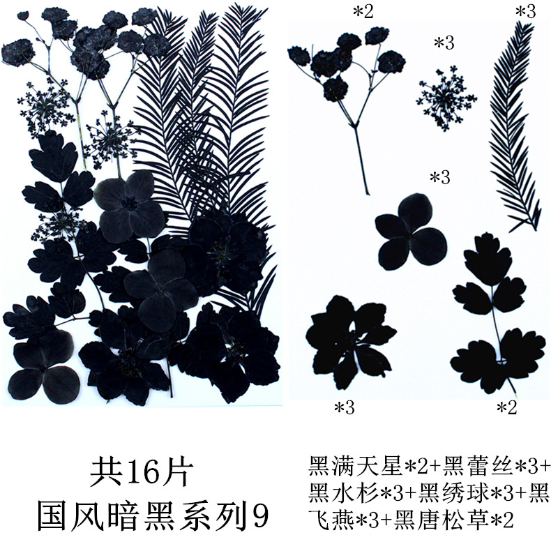 내셔널 스타일 다크 시리즈 9