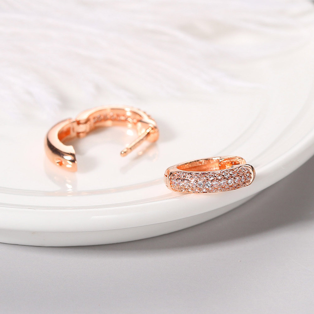 Fashion Circle Copper Plating Zircon Earrings 1 Pair display picture 3