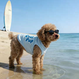 宠物衣服狗狗夏季运动透气薄款猫咪衣服泰迪博美小型犬26网眼背心