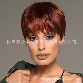 厂家现货批发欧美时尚假发 女士短发 酒红色短直发 白人假发头套