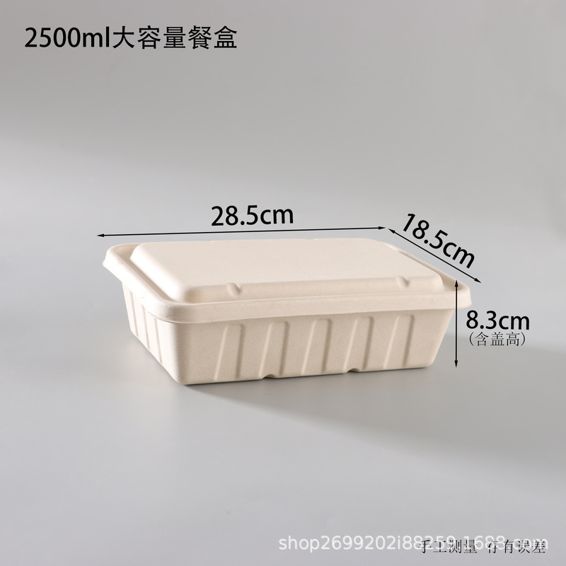 パルプ箱 大容量 サトウキビパルプ包装箱 大型 2500ml 3000ml シーフードテイクアウト弁当箱|undefined
