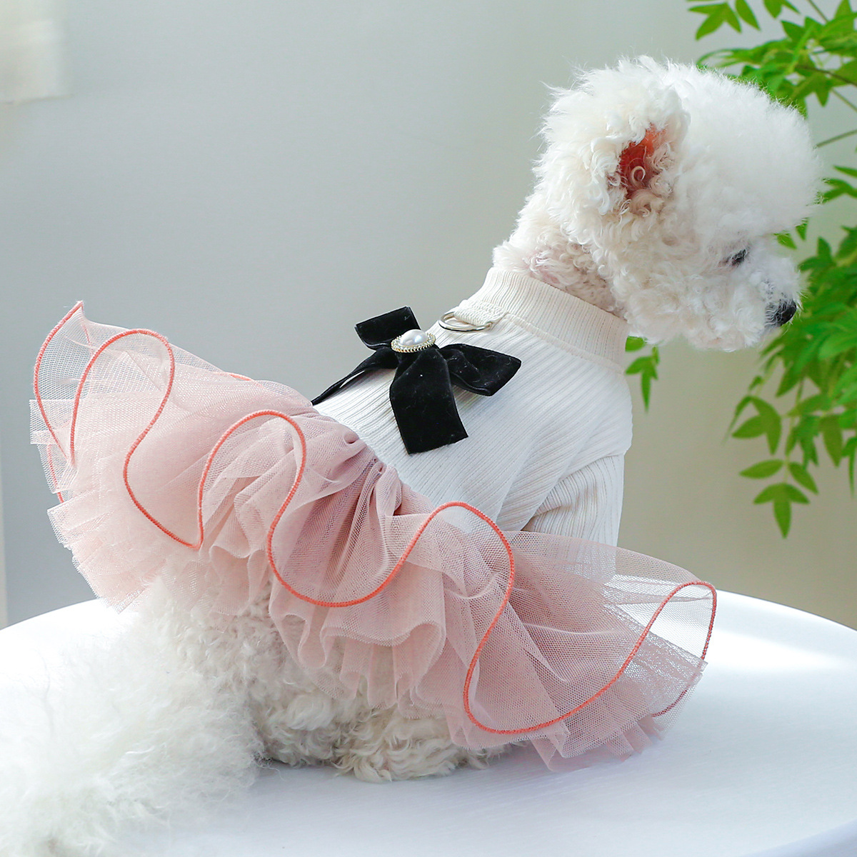 PETCIRCLE寵物圈狗狗貓貓衣服廠家批發中小型可愛公主安娜蓬蓬裙