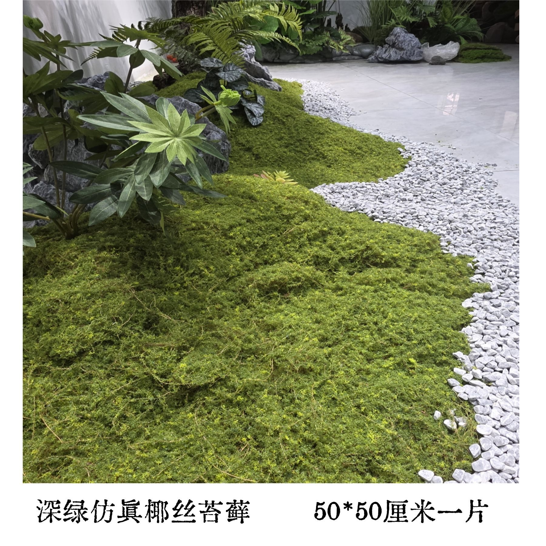 Coconut moss dark green [50cm*50cm]