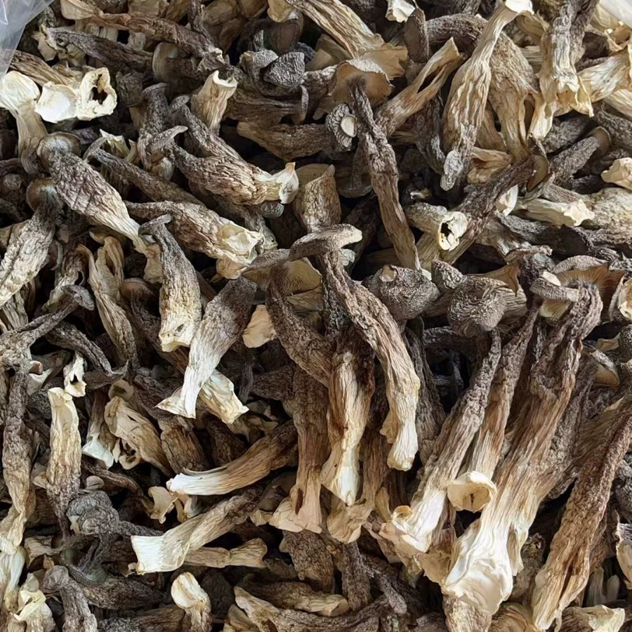 Сушеные грибы Flammulina velutipes Сушеные грибы