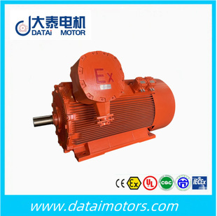ɽ�|��̩�߉�������YBX3-355-2-280kw����6KV�L�Cˮ�É��s�C늙C