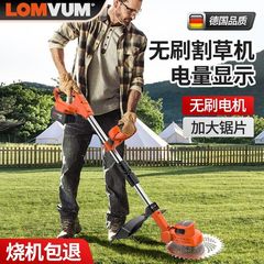 リチウム電池式芝刈り機、小型家庭用除草機、ハンドヘルド電動芝刈り機、ガーデントリマー、充電式芝刈り機