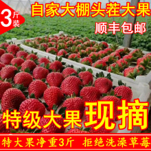 ���|ݮݮ�����rˮ���ش���|���|���R�ҍ��žżt�