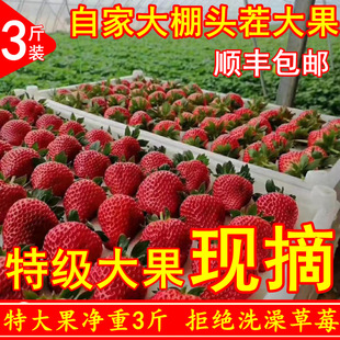 ���|ݮݮ�����rˮ���ش���|���|���R�ҍ��žżt�