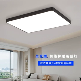 吸顶灯;风扇灯;成套灯具