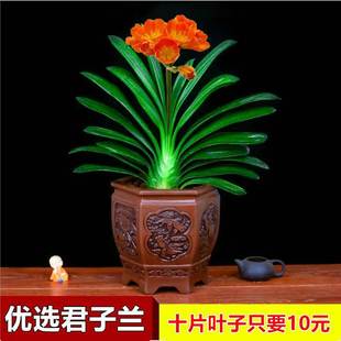 �����m�������玧�����ļ����B���ܾGֲ���҃��̨�A�^���д�С��