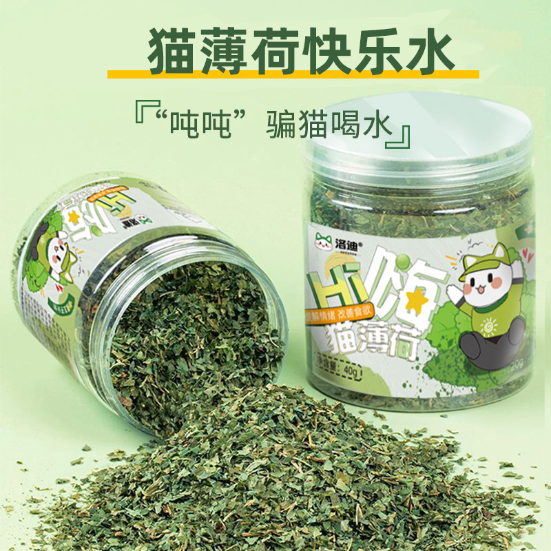 Catnip, Cat Grass Leaves, Cat Snacks, Amusing Kittens, Self-Pleasure and Boredom Relief, Dropshipping Pet Supplies and Food