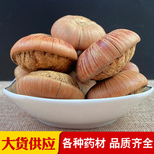 Fruit Glans Changfuyue, подканализованная почечная, названная янгу