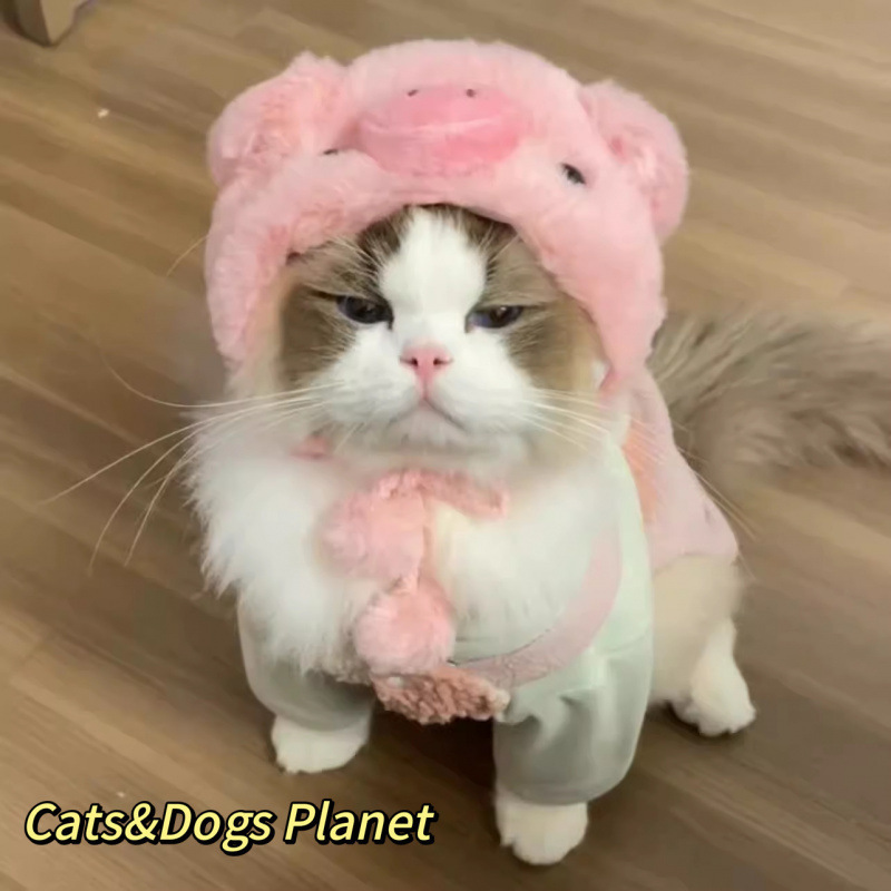 猫咪可爱搞怪变装帽宠物帽子金渐层英短德文狗狗汉堡头套卡通头饰|undefined