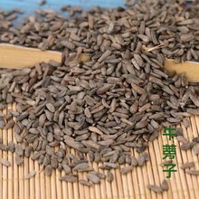 牛子500g批发牛子牛蒡子中药材牛蒡根茶中药材牛子