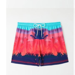 2025 New Men's Swimming Trunks Boxer High-End Hot Spring Vacation Training Men's Swimsuit Men's Swimsuit Large Size