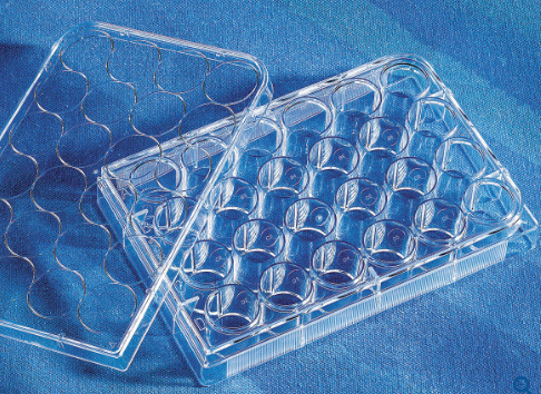 FALCON  24孔平底带盖细胞培养板 货号353226优级品