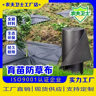 育苗布果树防草布生态可降解无纺育苗布透气渗水保温地布生产厂家