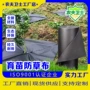 保温可降解无纺生产草布