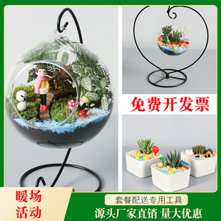✅ [Warm-Up Activity] Creative Moss Micro-Landscape DIY Material Kit, Ecological Bottle Succulent Ornament Gift Set
