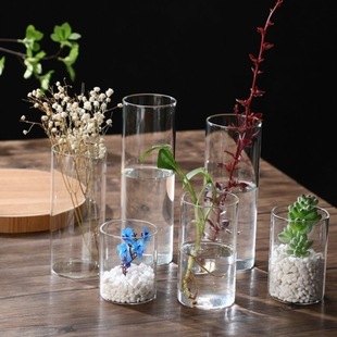 Hydroponic Plant Vase Straight Glass High Borosilicate Flower Pot for Flower Arrangement Moss Landscape Bottle Green Plant Ecological Glass Art