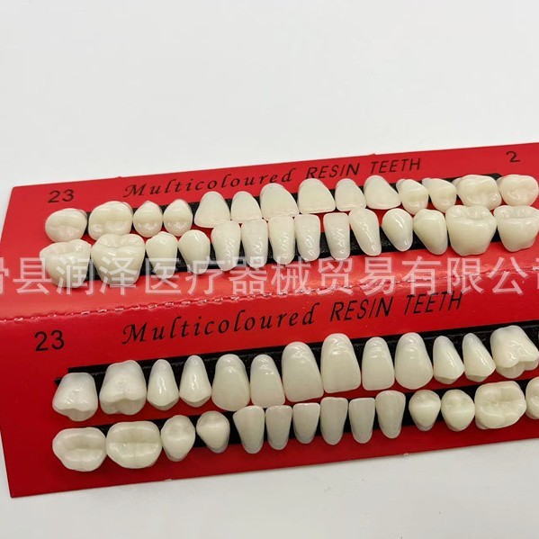 牙科口腔学生练习全口牙齿教学磨具牙模型28颗一口磨具塑料练习牙|undefined