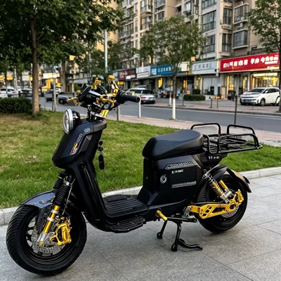 of U2 electric motorcycle 48V: Elektrikli motosikletlər - black-contact-for-export-customization