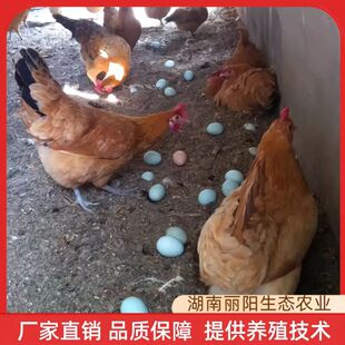 ����G�����u���������������С�u�����а�����u�r����BС�_�u