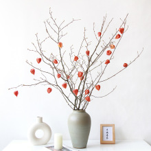 ♔【年宵花树枝灯笼果】侘寂风轻奢家居装饰酸浆果自然干枝