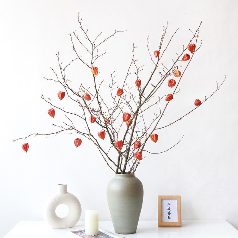 ♔【年宵花树枝灯笼果】侘寂风轻奢家居装饰酸浆果自然干枝