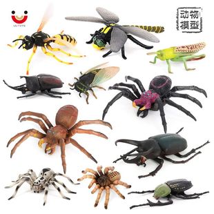 New simulation insect animal model unicorn fairy Dragonfly cicada grasshopper spider wasp children's cognitive toy ornaments