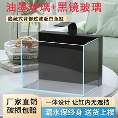鱼缸小型客厅金晶超白玻璃背滤侧滤免换水自循环新款