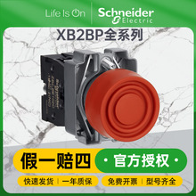 ʩ͵·ˮoXB2BPԏλc_Pmo־oo