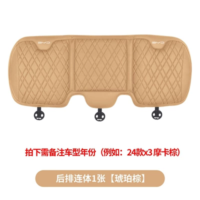Waist support: 2024 Byd Song Ldmi/Pro - song-pro-rear-conjoined-amber-brown