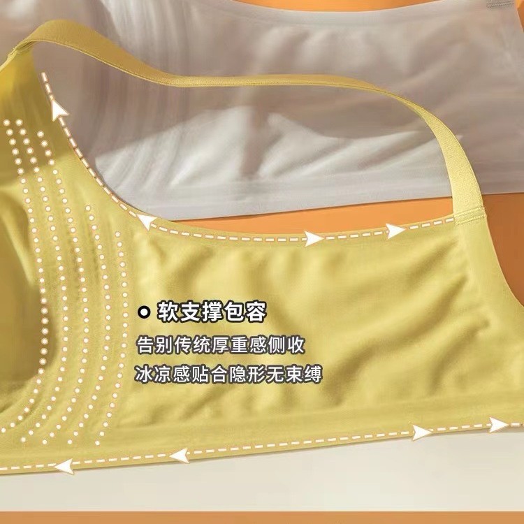 Venta directa de fábrica comercio electrónico transfronterizo Sudeste de Asia Vietnam Tailandia damas sin costuras sujetador de recogida lateral cómodo