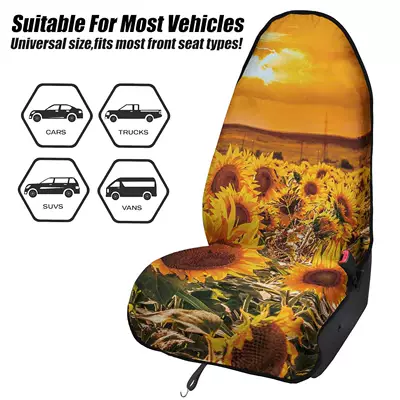 Universal seat cover: and Exercise, Universal for All