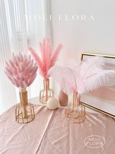 �p�ݷ�ɫ�JȔ��β�ݸɻ������[���滨��Ȼ�L���b��W�͏d�[�O