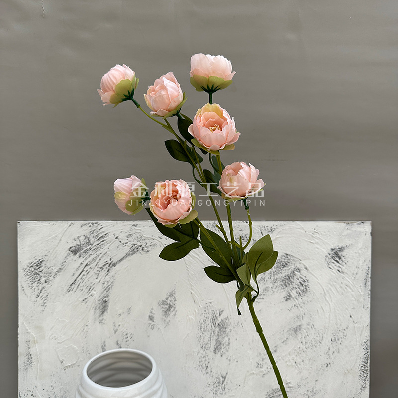 Flesh pink exquisite peony