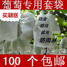 葡萄代子套果袋水果套袋纸套果子的袋子果树葡萄袋子防鸟防虫袋批