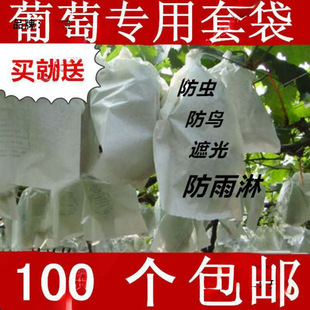 Grape Fruit Bags, Fruit Bags, Paper Bags, Fruit Bags, Fruit Tree Grape Bags, Anti-Bird and Insect-Proof Bags