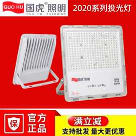 国虎照明2020投光灯LED户外防水照明探照球场射灯方形投光灯