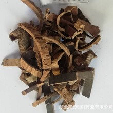 �в�ș���ٰ����S�����l���ێ��ϸ��C�|�z�lƱ�����󃞻ݚgӭ����