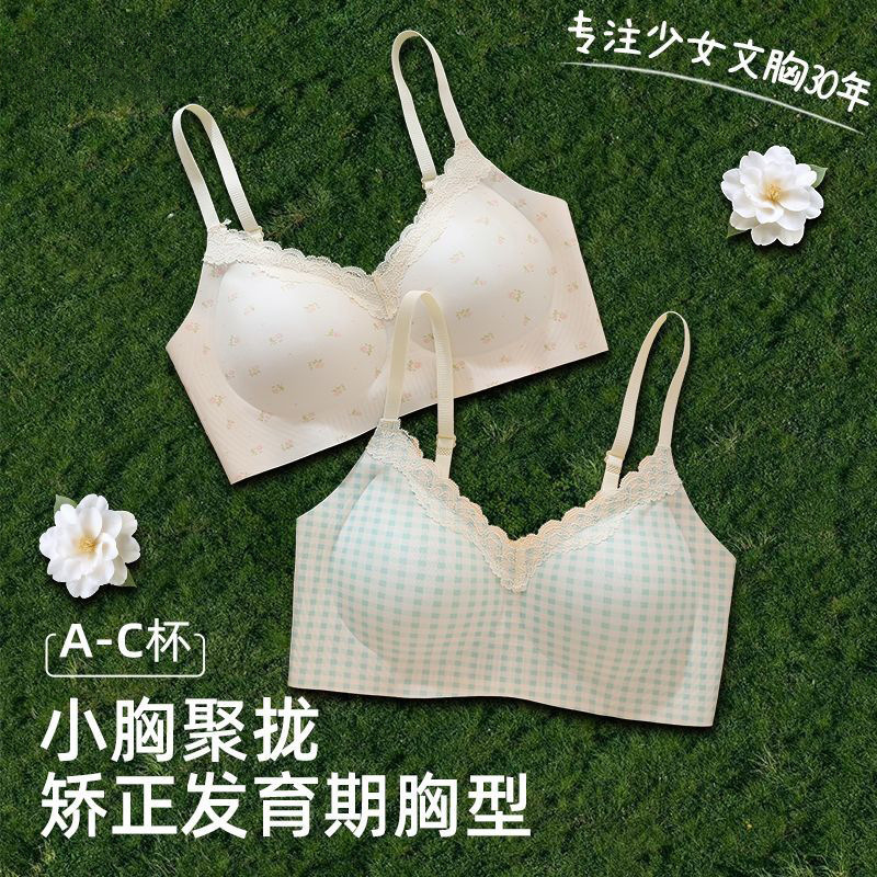 Girls' Bras for the Developmental Period, High School and College Students' Seamless Underwear, Small Chest Gathering, Comfortable, Wire-Free, Anti-Sagging Bra