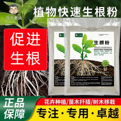 急速発根促進剤 野菜、果物、花、一般植物用 発根促進、苗の強化、挿し木、移植、水耕栽培用 強力発根剤